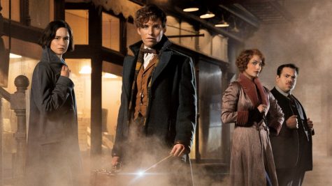 Potter World Continues Expansion With Fantastic Beasts