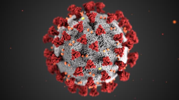 This+illustration%2C+created+at+the+Centers+for+Disease+Control+and+Prevention+%28CDC%29%2C+reveals+ultrastructural+morphology+exhibited+by+coronaviruses.+The+spikes+that+adorn+the+outer+surface+of+the+virus+impart+the+look+of+a+corona+when+viewed+electron+microscopically.+The+illness+caused+by+this+virus+has+been+named+coronavirus+disease+2019+%28COVID-19%29.