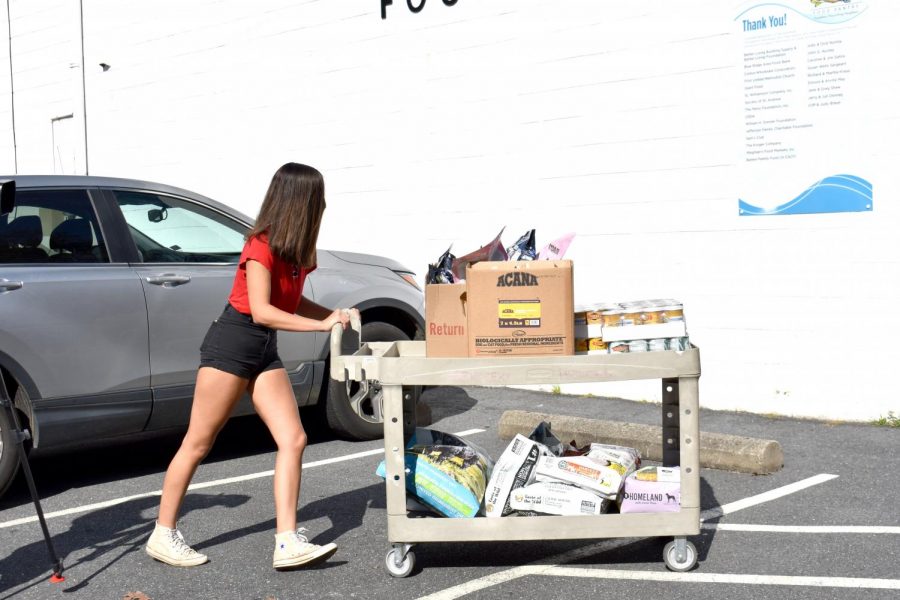 Junior Katharina Ravichandran takes a load of pet food donations to the Loaves & Fishes food pantry in October. Ravichandran started the SWAHg club in response to food insecurity in the Albemarle area. 