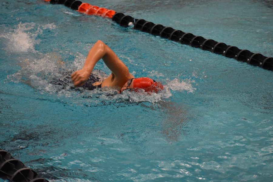 Sophomore Melissa Noel Alms pulls herself through the pool in the girls 200 freestyle. Alms raced in Heat 5 and finished second overall with a time of 1 minute 59.54 seconds.
