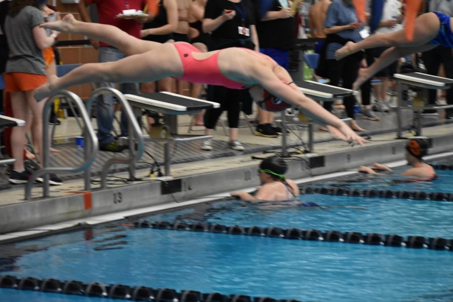 Sophomore Cameron Smith dives into the girls 100 freestyle race. Smith finished second in Heat 2 and placed fifth overall with a time of 55.77 seconds.