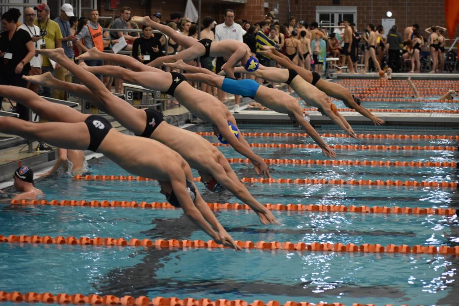 Junior David King (second left) dives into the water for heat two of the boys 500 freestyle at the Jan 10. Ben Hair Meet. 
