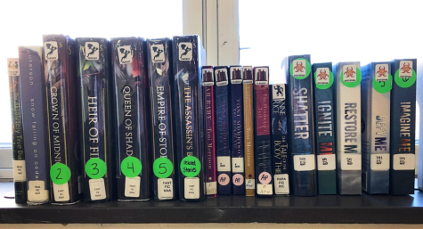 18 of the books taken off Madison County High School library shelves.