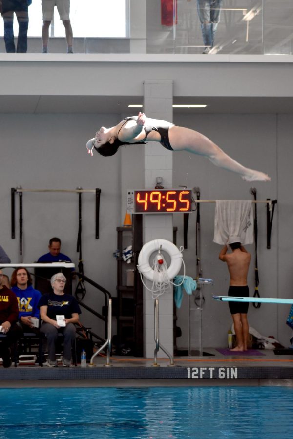 Flying backwards off the springboard, junior Meredith Stilley positions herself in an early dive. Stilley took first at the 5D Regional meet with a score of 411.10 over 10 dives. 